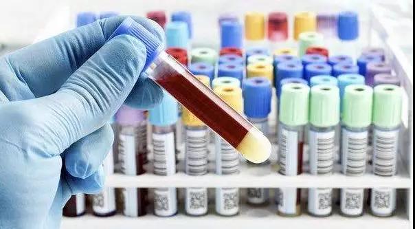 1559200231352307.jpg 2.jpg