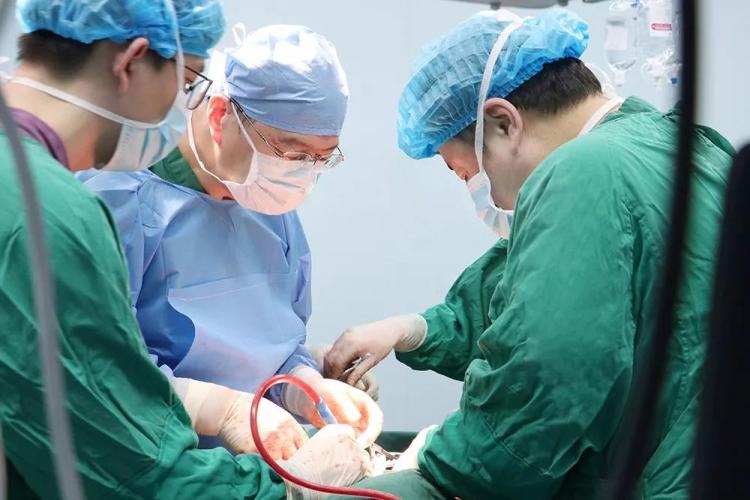 1574400945756583.jpg 2.jpg