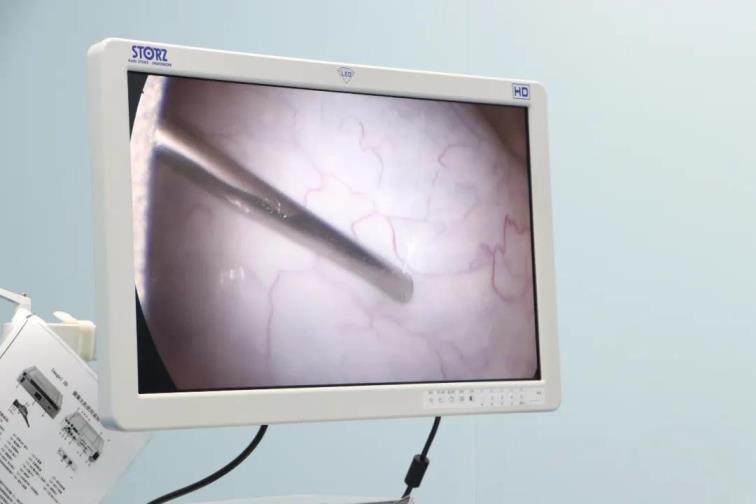 1589280224765633.jpg 5.jpg