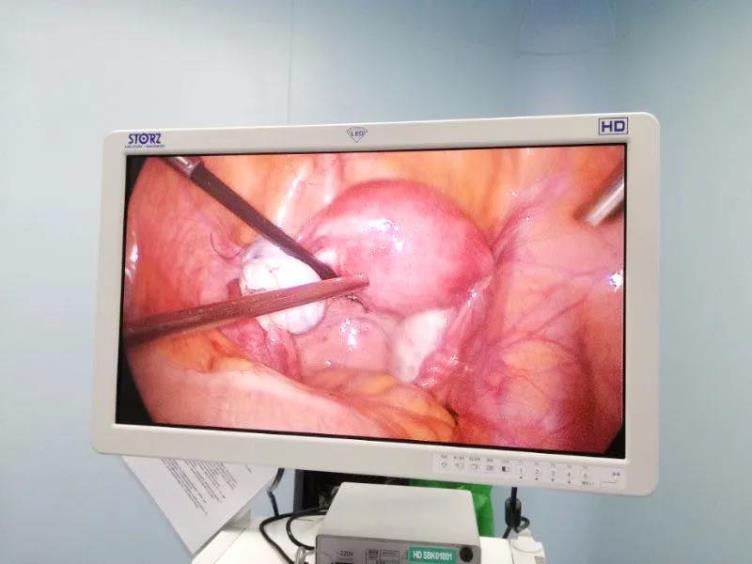 1589280232932610.jpg 6.jpg