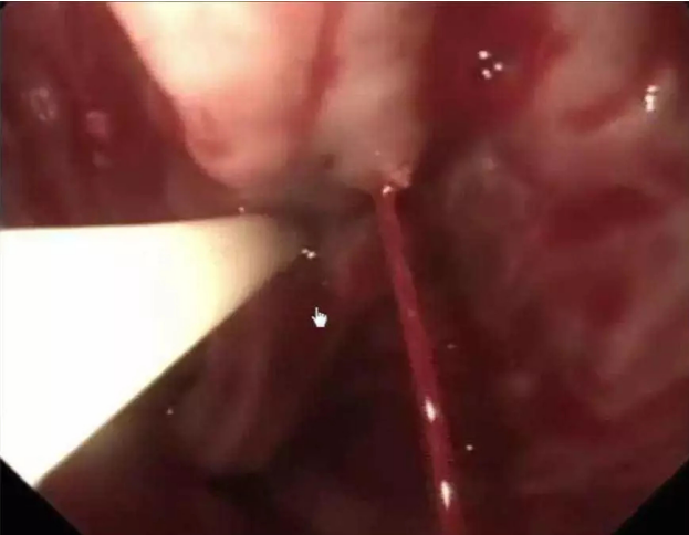 1595118034822829.png 2.png