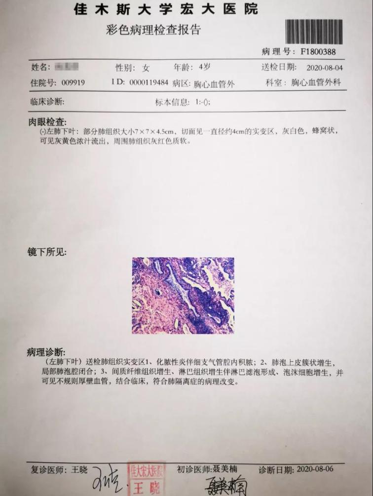 1597020258677761.jpg 6.jpg