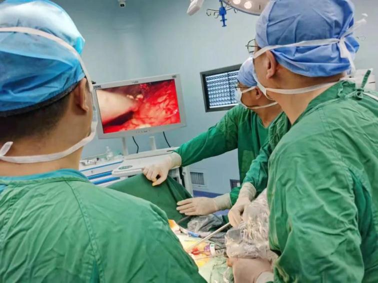 1615191069423505.jpg 4.jpg