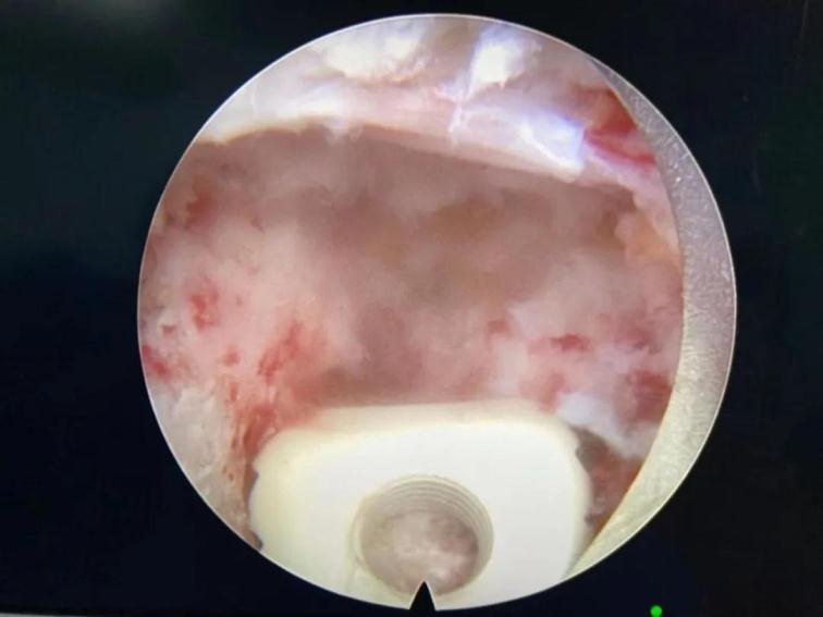 1620632997333728.jpg 6.jpg