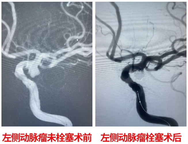 1650856109742536.png 05.png