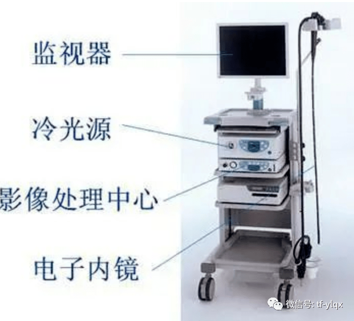 西安交通大學(xué)第二附屬醫(yī)院消化內(nèi)鏡、介入耗材供應(yīng)商遴選項目