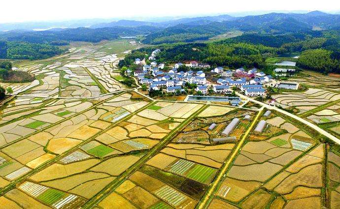 西安市臨潼區(qū)農(nóng)村“房地一體”宅基地和集體建設(shè)用地不動(dòng)產(chǎn)權(quán)籍調(diào)查牽頭服務(wù)采購(gòu)項(xiàng)目、地權(quán)籍調(diào)查服務(wù)采購(gòu)項(xiàng)目