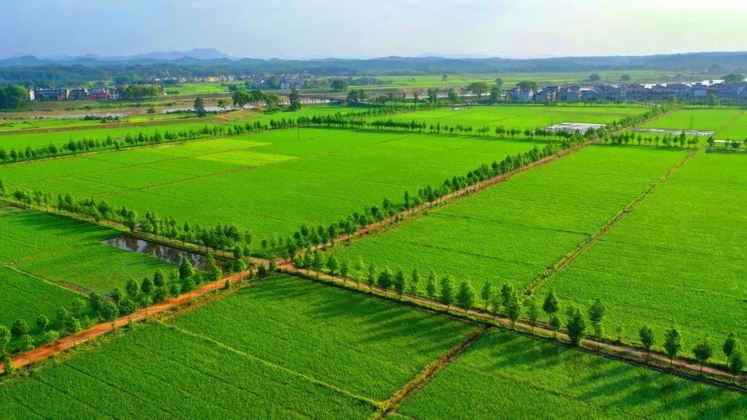 扶風(fēng)縣2014年高標(biāo)準(zhǔn)基本農(nóng)田建設(shè)項(xiàng)目（一標(biāo)段）扶風(fēng)天度鎮(zhèn)南陽村等6個村高標(biāo)準(zhǔn)基本農(nóng)田建設(shè)項(xiàng)目